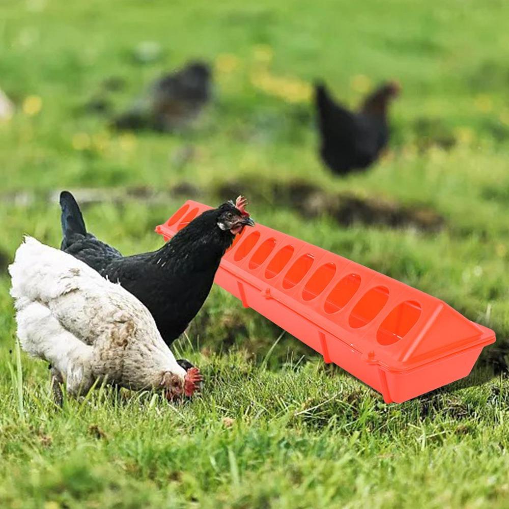 [Elegan] Pakan Burung 16lubang Baris Ganda Flip-Top Rumah Tangga Tahan Lama Pakan Ternak Unggas