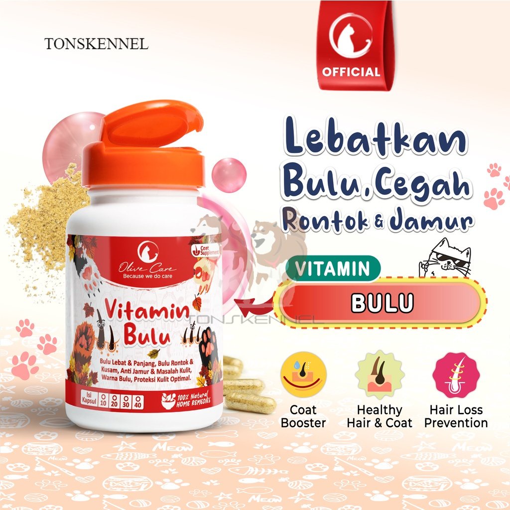 Olive Care Vitamin Kucing BULU untuk Bulu Panjang Lebat, Bulu Halus, Warna Bulu, Cegah Jamur dan Bulu Rontok