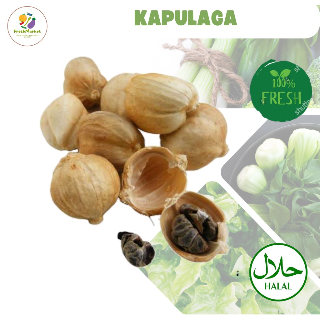 

Kapulaga Bumbu Dapur 1 Bungkus Freshmarketlampung