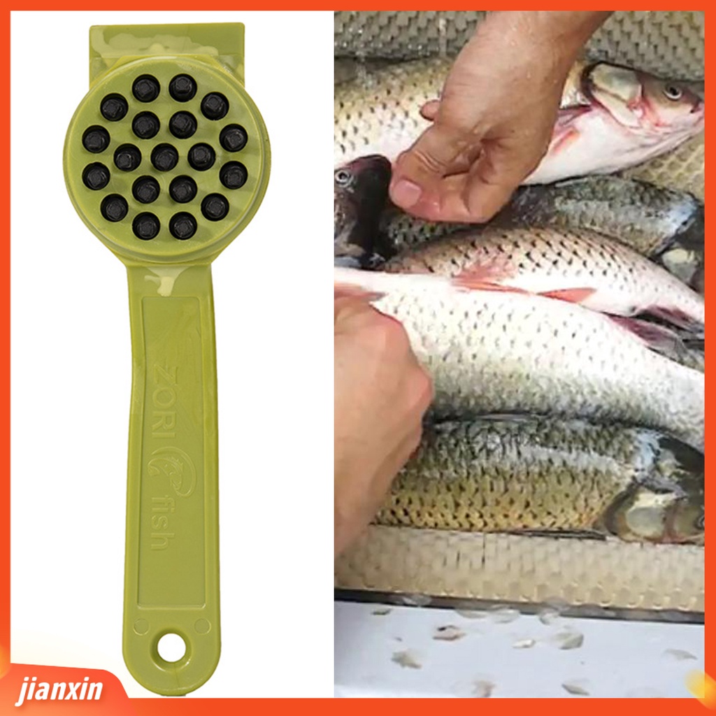 (In Stock) Scraper Sisik Ikan Solid Ergonomics Handle ABS Kreatif Sikat Kulit Ikan Scraping Graters Untuk Digunakan Di Rumah