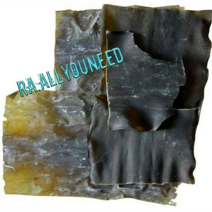 

Dasima - kombu korea 100gram