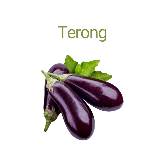 

Terong Lonjong Organik
