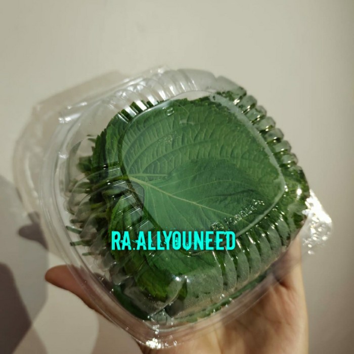 

Daun Wijen Muda ( Perilla Leaf 50 gr )