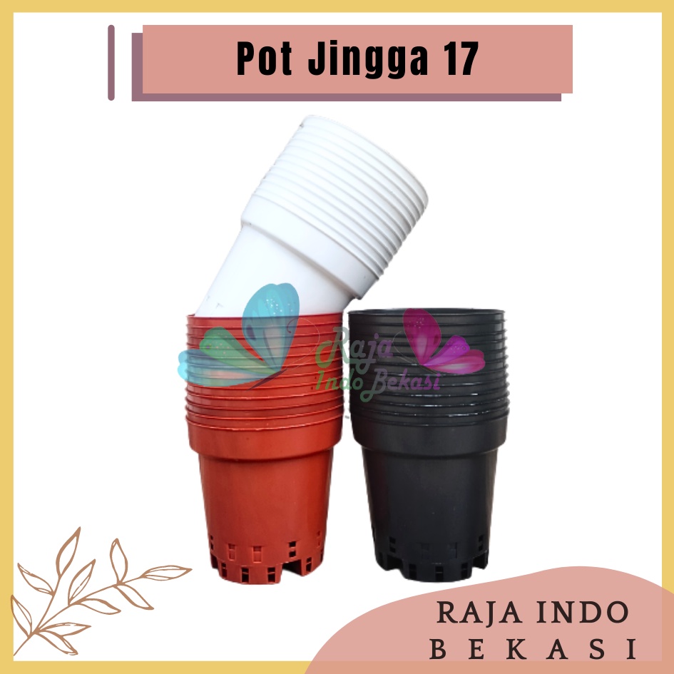 LUSINAN Pot Anggrek Jingga 17 Putih Hitam Merah Bata Coklat Pot anggrek Jingga 17 murah - Putih Pot 