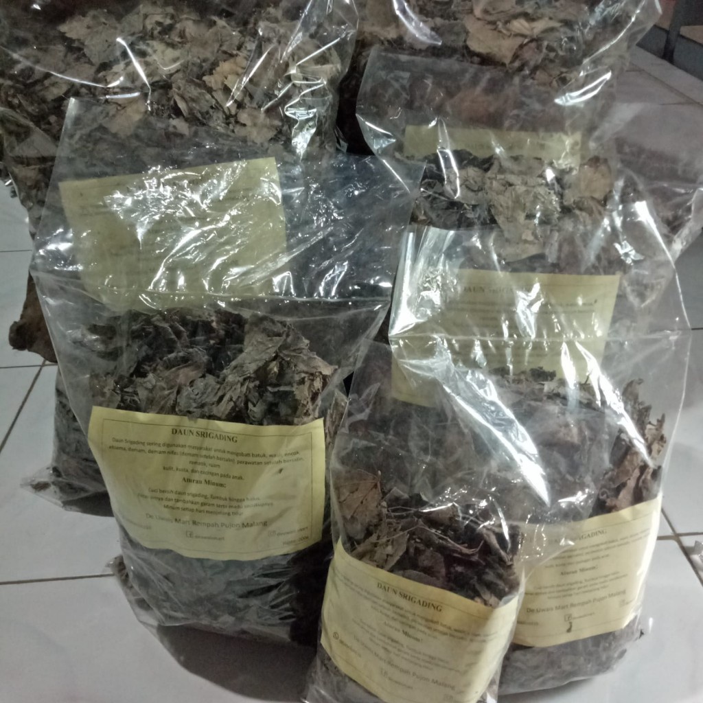 

Daun Sri Gading Kering Rempah Jamu Herbal Tradisional Anti Bakteri