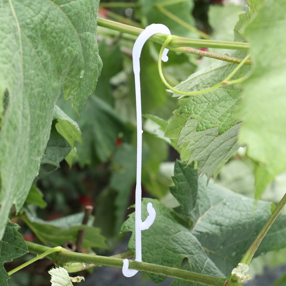J-shaped Fruit Cherry Tomato Hook Holder/Tanaman Sayur Anggur Rambat Pengikat Klip Alat Tanam Taman Rumah Tangga