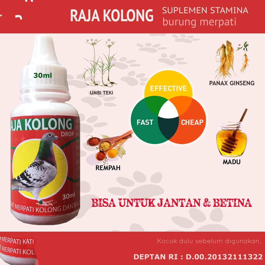 JUAL RAJA KOLONG TAMASINDO VITAMIN DOPING PENAMBAH STAMINA BURUNG MERPATI BALAP KOLONG