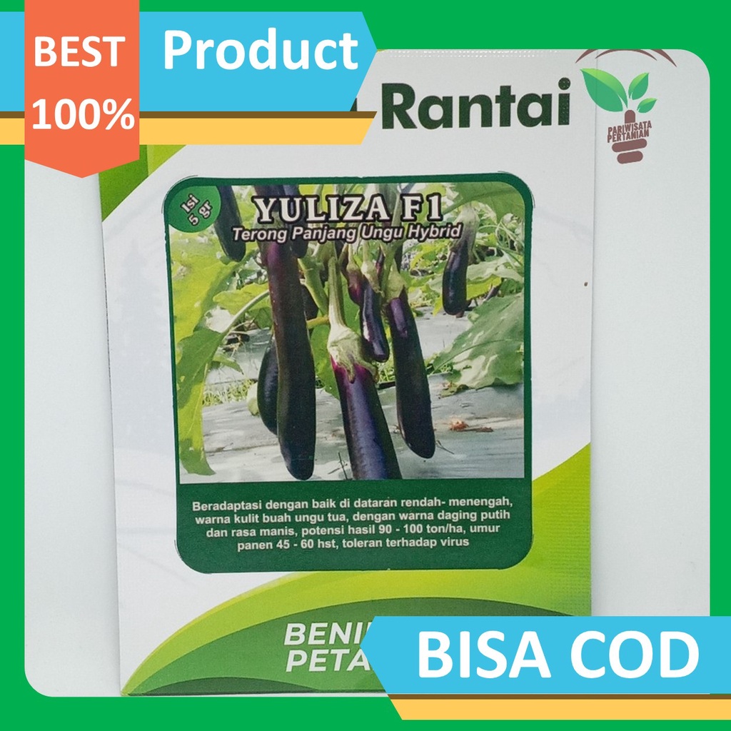 benih terong Yuliza F1 BIJI BENIH TERONG UNGU PINGTUNG LONG PANJANG  HIBRIDA / 25 BIJI cap dua ranta