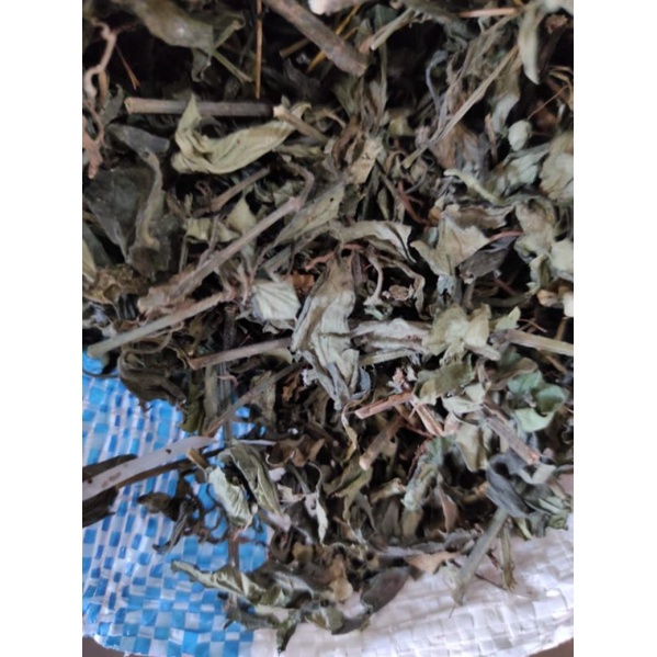 

Bubuk DAUN UNGU 1 kg Organik Tanaman Herbal Nusantara Free Stiker PIRT Random