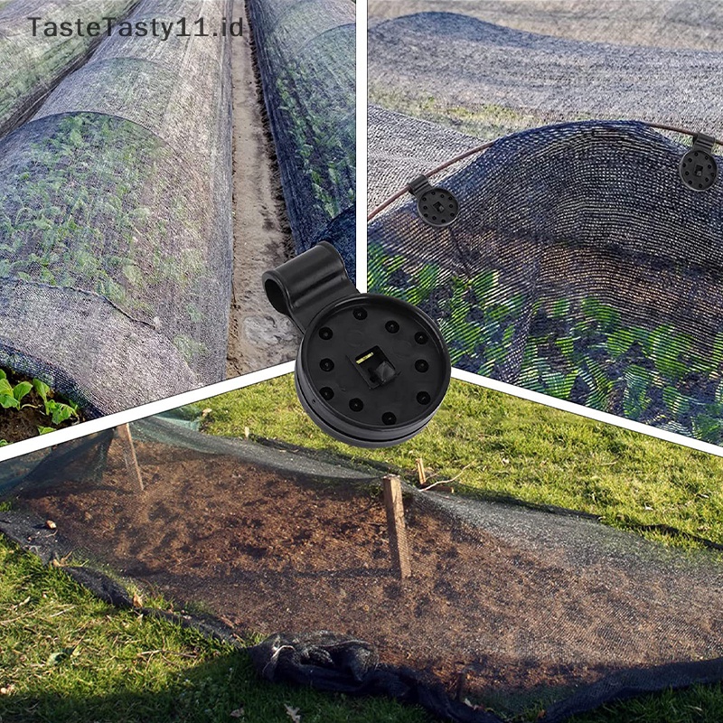 Toserbaaste syalasty 1/5 skek alfinreenhouse alfinilm alfinun alfinhade alfinet alfinlips s suketnti-bird galihent alfinent alfinunshade alfinet alfinix halilintarlampu .