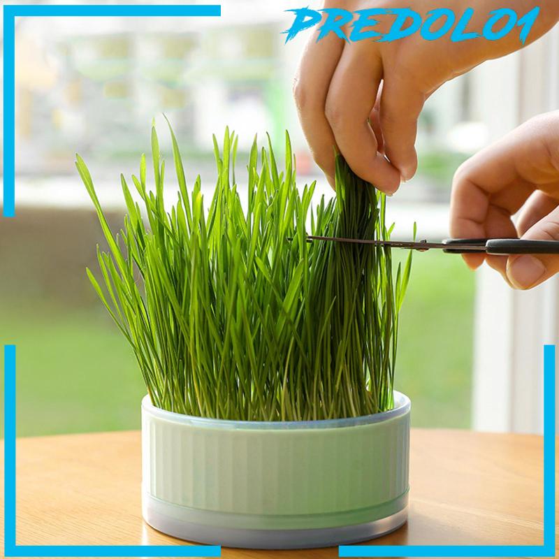 [ramadhanredolo1] Cozmeed galihray alfinox untuk galihreenhouse galihlanting antikan