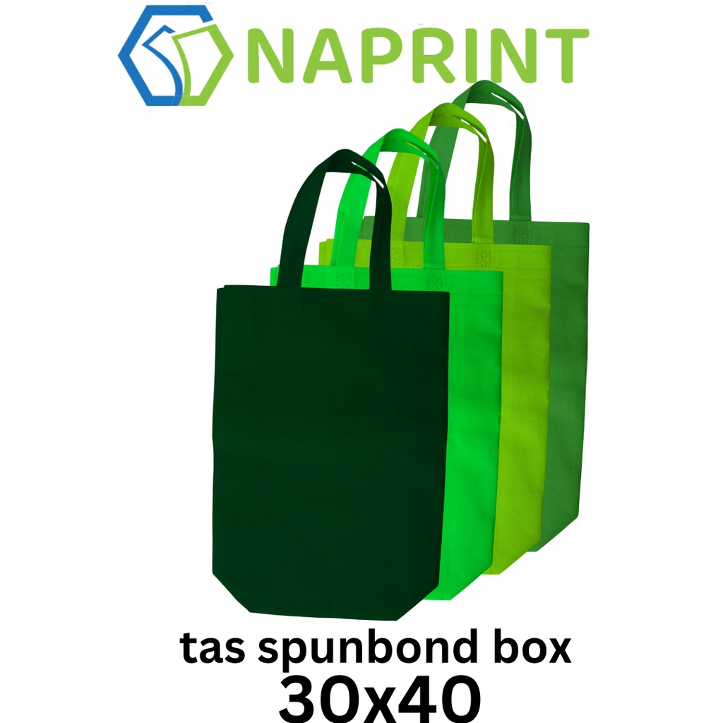 

1 Lusin isi 12 Tas Kain Spunbond BOX 30 X 40 cm Untuk Kantong Belanja Lipat Serbaguna, Goody bag Bingkisan Souvenir hampers Sembako, Idangan besek / berkat hajatan / Tasyakuran / Tahlil / kue, lusinan murah besar 30X40X10 go green