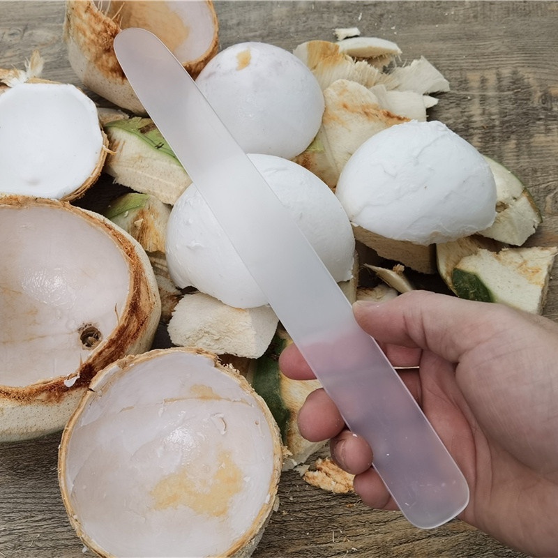 Alat Pemecah Buah Alat Gali Kelapa Coconut Meat Remover Soft Coconut Opener Dapur Warung Peralatan Masak Aksesoris