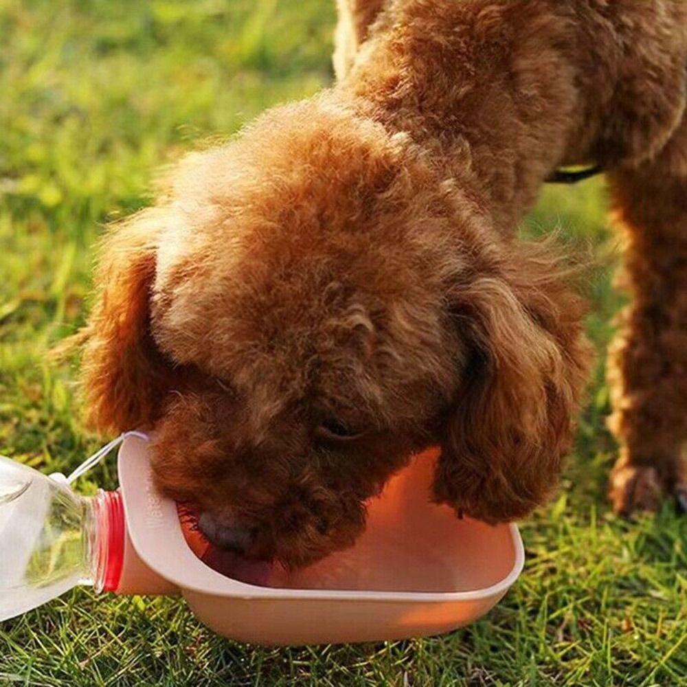Chookyy Botol Air Minum Pet Berjalan Travel Outdoor Water Feeder