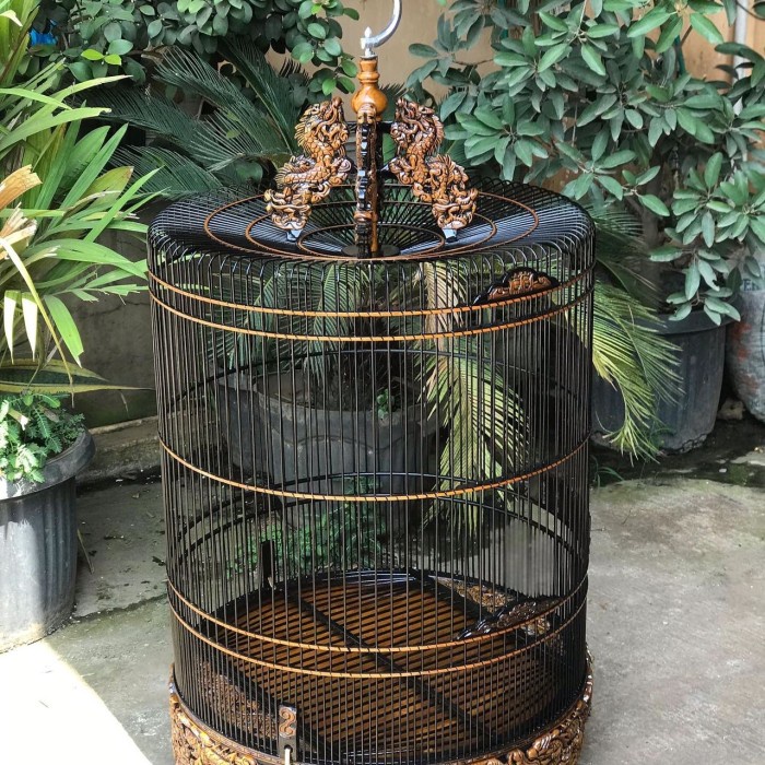 sangkar murai ukir, sangkar murai jati, sangkar murai no2