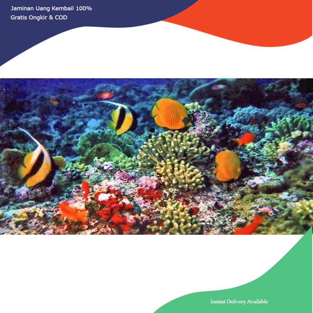 Batu karang laut buatan, batu karang laut tiruan, ornamen batu karang laut, dekorasi aquarium batu k