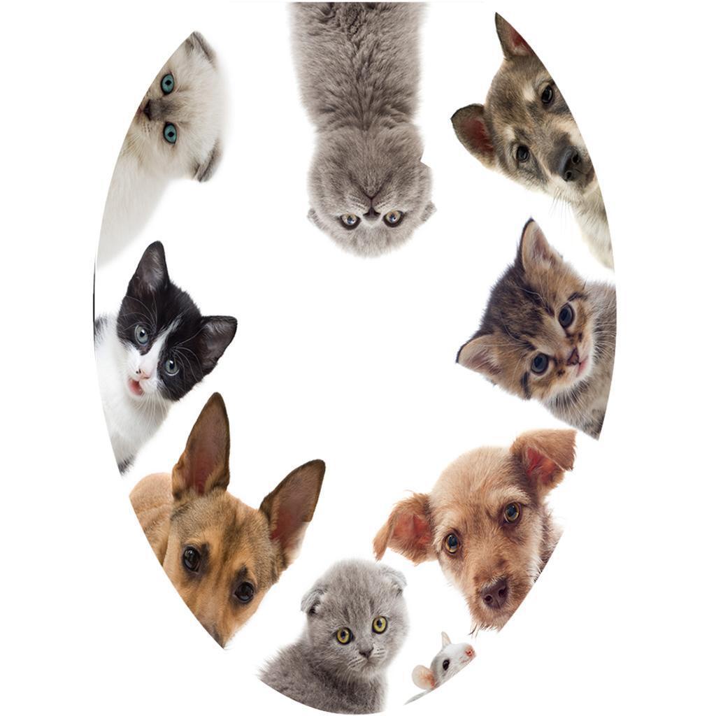 Huit Kreatif 3D Toilet Stiker Kamar Mandi Hias Decals Kucing Anjing