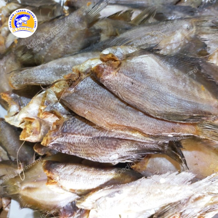 

Ikan Asin Sepat Ukuran Sedang