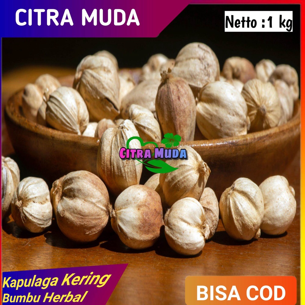 

Bumbu Rempah Kapulaga kering 1 kg Alami