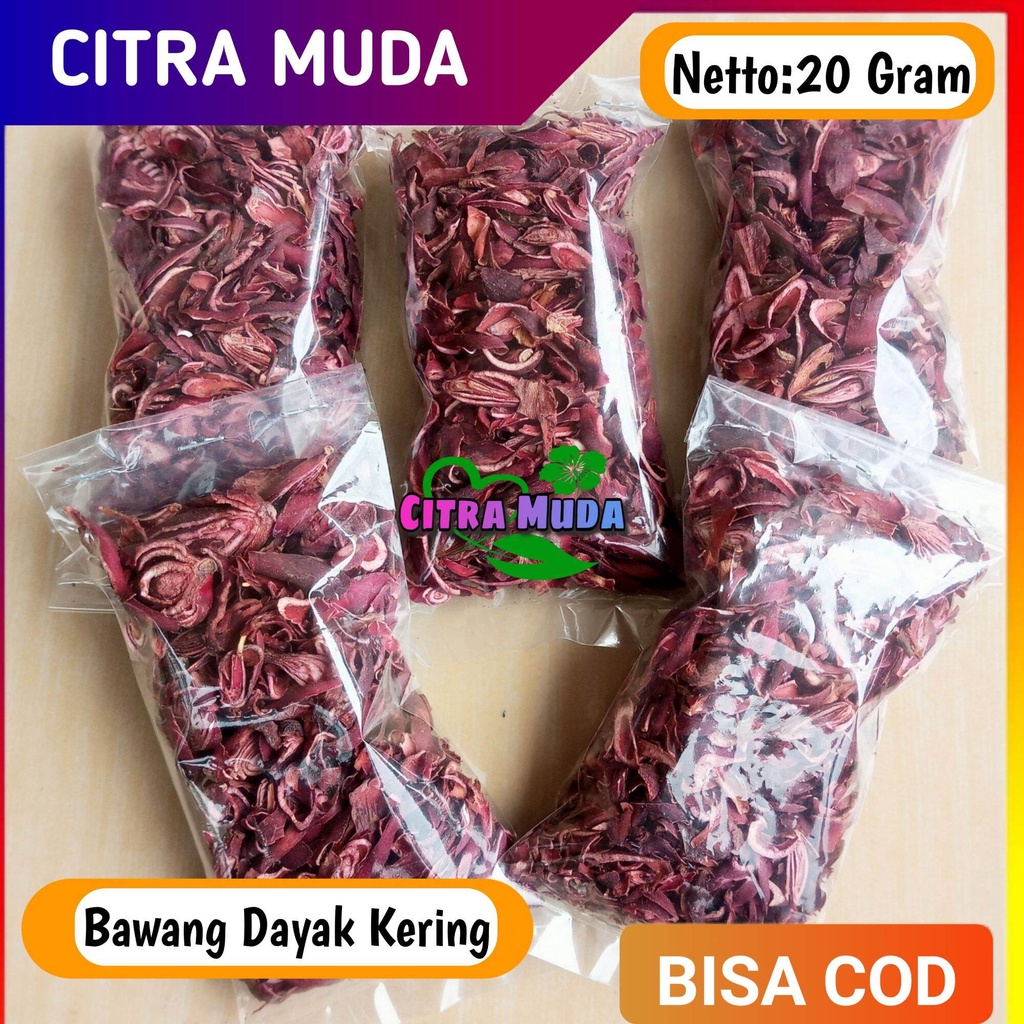 

Bawang Dayak kering 20 gram paket ekonomis alami