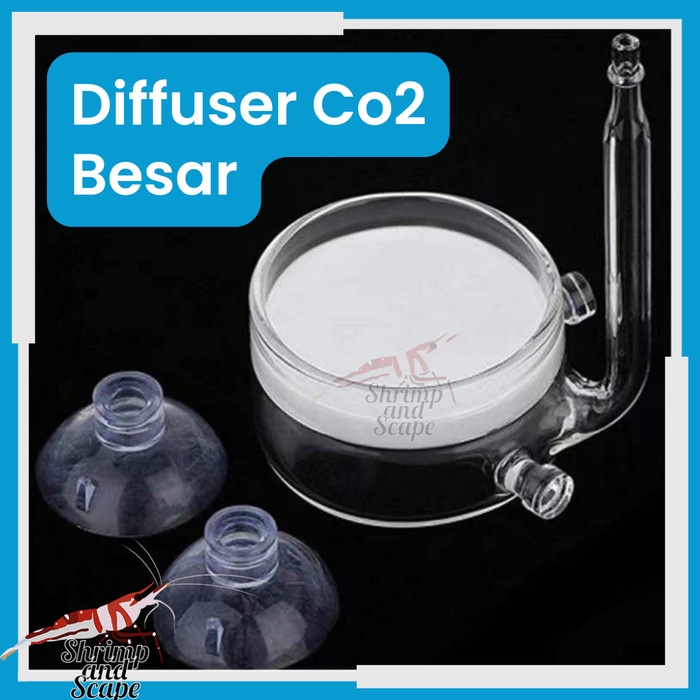 Diffuser CO2 40mm Besar Co2 Kaca Keramik Halus Glass Aquascape Corner Sudut Difuser