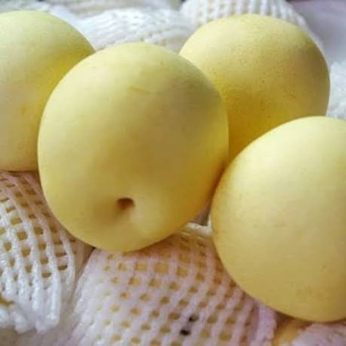 

✨NEW✨ -PEAR CENTURY / PIR CENTURY FRESH- 2.2.23