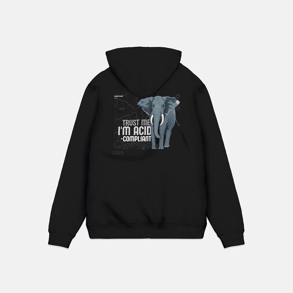 Pullover Hoodie ACID-Compliant