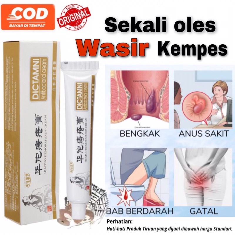 Salep Obat Wasir Ambien Dictamni Ambeien Chinese Cina China Herbal Cream Anal anus