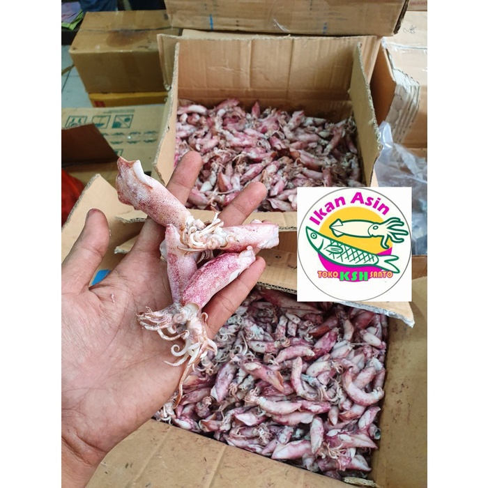 

N.E.W ikan asin cumi - cumi,sdang-500g