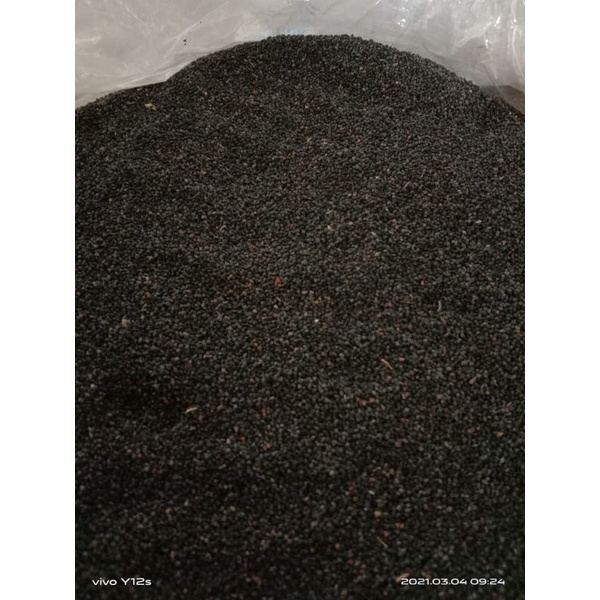

BUBUK JINTEN HITAM LOKAL 1 kg Tanaman Herbal Nusantara Free Stiker PIRT Random