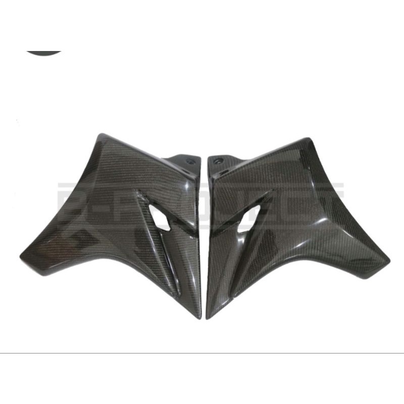 sayap ninja r/ss carbon