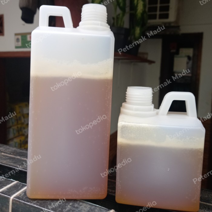 

madu hutan sialang sumsel 1 kg madu murni