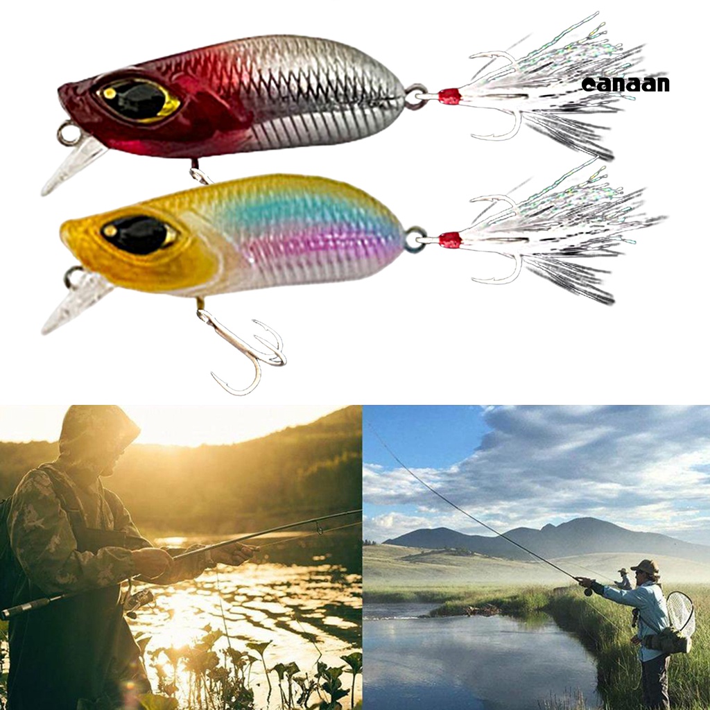 Cnn-5cm/8g Umpan Bionik 3D Simulasi Fisheye Tajam Treble Hook Simulasi Getar Manik-Manik Kerincingan Memancing Umpan Untuk Memancing Luar Ruangan