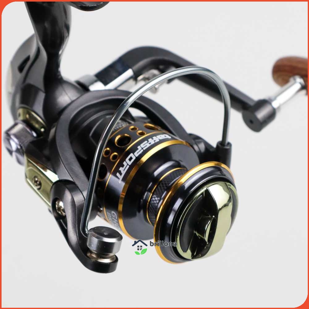 TaffSPORT GHOTDA Reel Pancing Spinning Fishing 5.2:1 BB 13 - BK2000