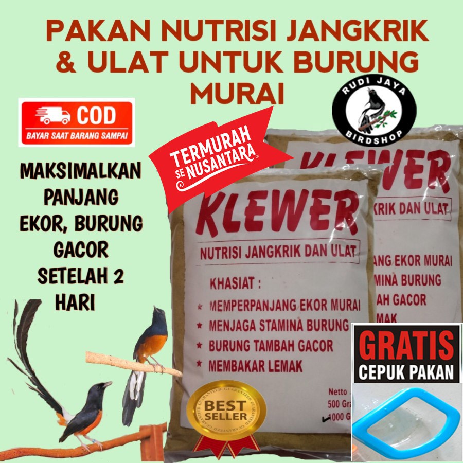 JUAL KLEWER 500 GRAM PAKAN MAKANAN JANGKRIK ULAT UNTUK TERNAK BURUNG MURAI BATU MAKSIMALKAN PANJANG