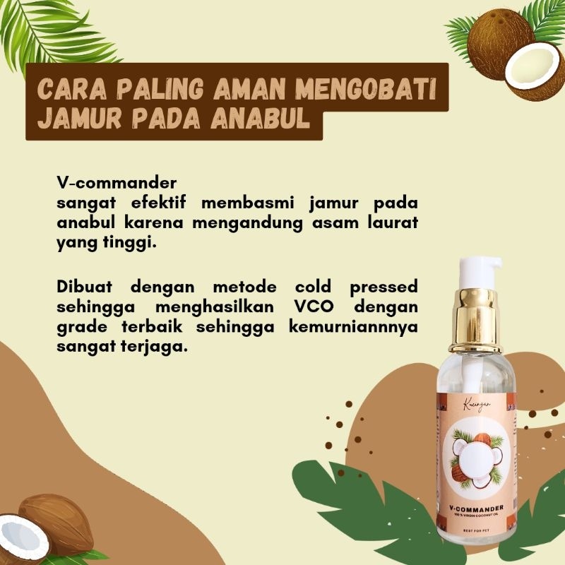 Virgin Coconut Oil VCO Vitamin Anti Jamur Scabies dan Bulu Kucingan 60 ML