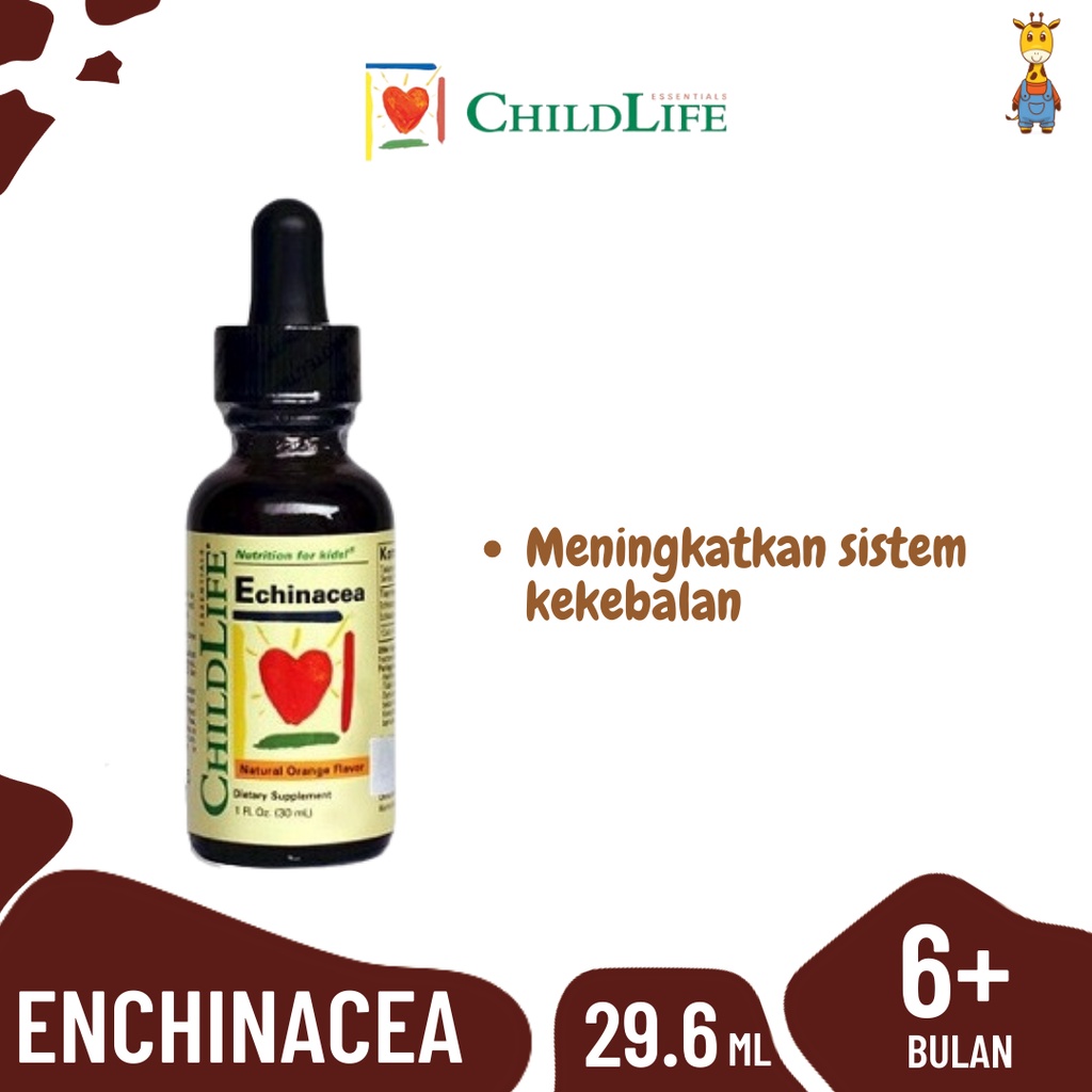 ChildLife Echinacea 30ml - Vitamin Kekebalan Tubuh Anak &amp; Bayi