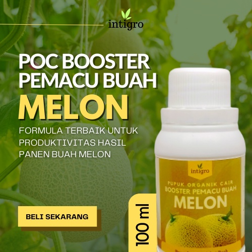 ARA.ID - Pupuk Pembesar Pemanis Buah Melon / Pupuk Untuk Penyubur Perangsang Tanaman Melon Booster B