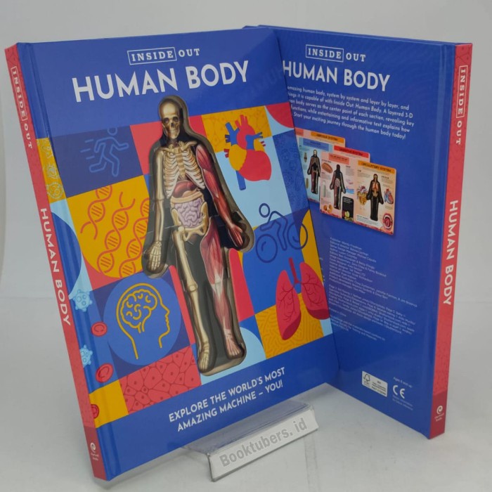 Inside Out Human Body (Volume 1) (Inside Out, 1) Hardcover by Luann Co