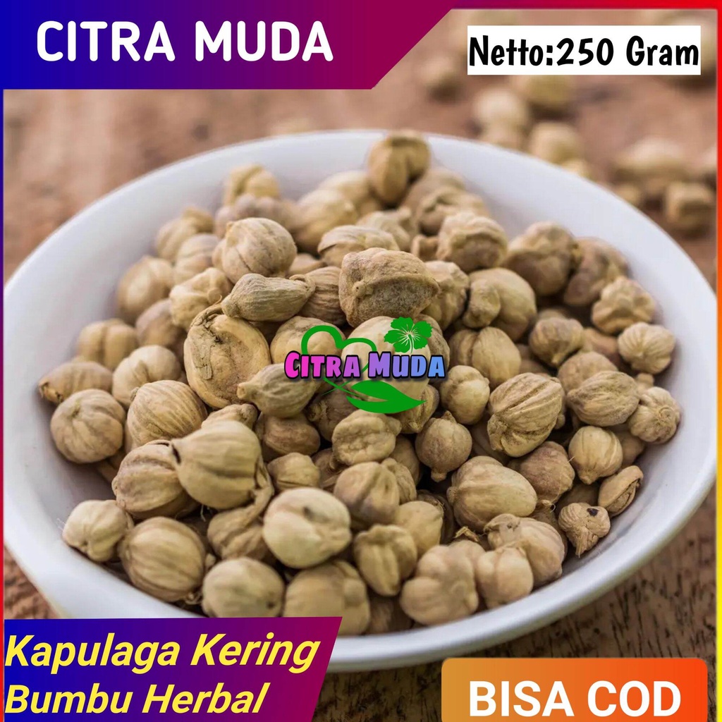 

Bumbu Rempah Kapulaga Kering 250Gram Aroma rasa yang istimewa