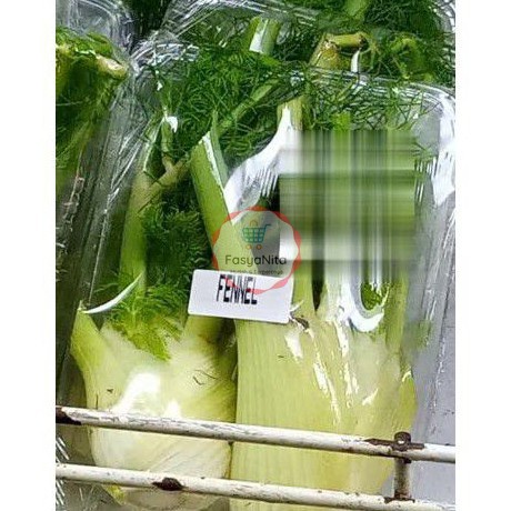 

Sayur Fennel / Daun Adas