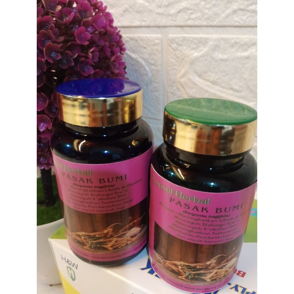 Kapsul herbal jamu obat Pasak Bumi tongkat ali isi 50 dan 100 capsule