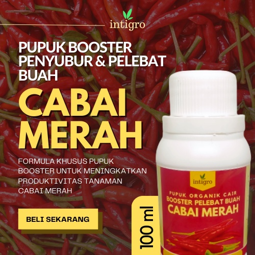 Pupuk Cabe Agar Berbuah Lebat Obat Semprot Pelebat Buah Cabe Pupuk Booster Cabe Rawit Merah Keriting ( Restoe )