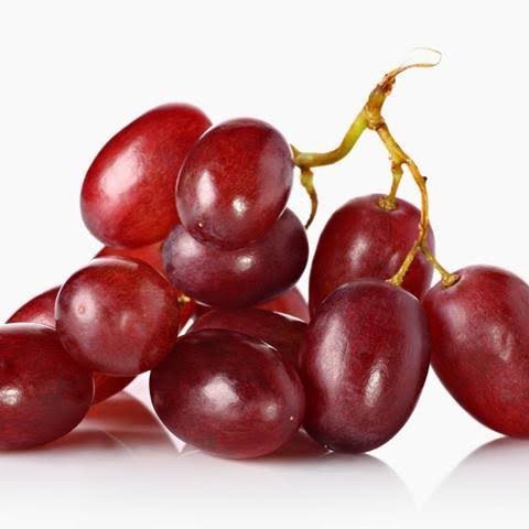 bibit anggur merah import