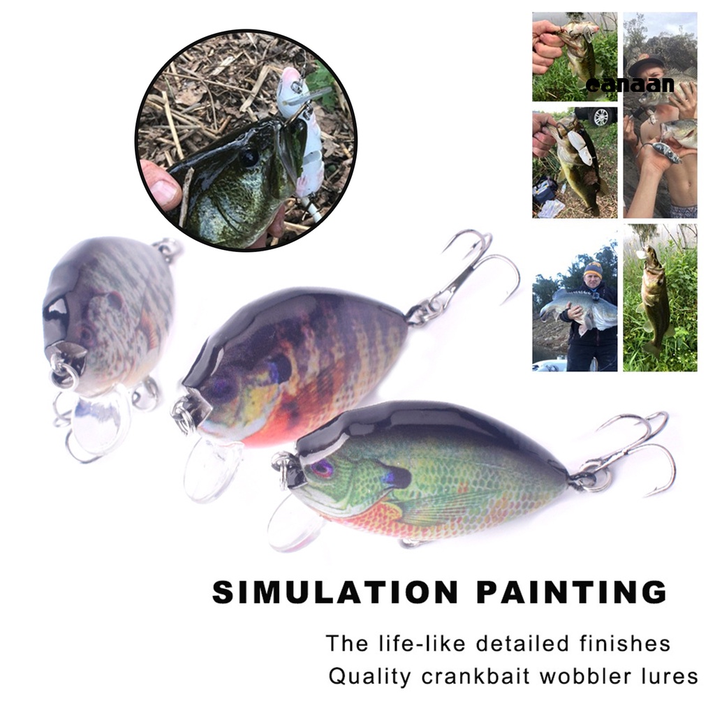 Cnn-6cm 14.5g Umpan Buatan Simulasi Bentuk Realistis Reusable Sea Fishing Fake Lure Bait Angling Tackle