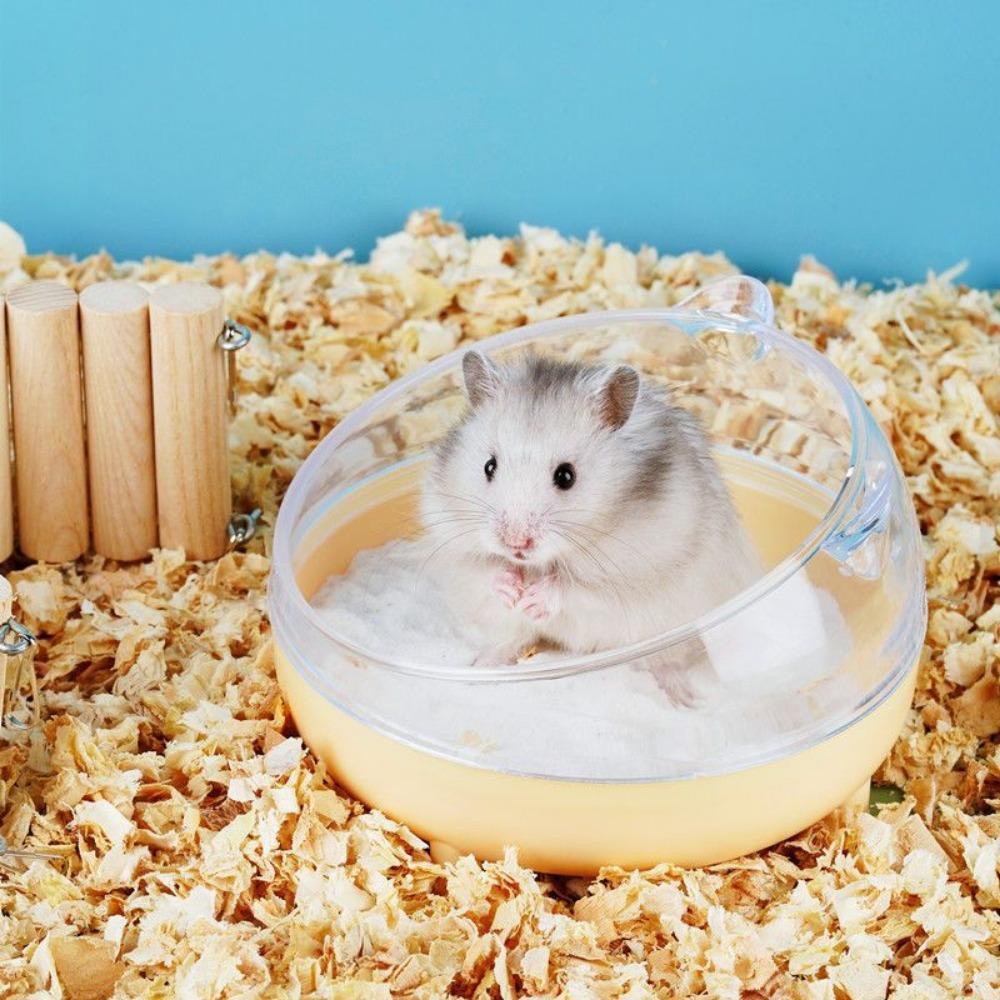 [Elegan] Hamster Bathtub Portable Pencegah Cipratan Dilepas Transparan Rumah Tangga Pet Kamar Mandi Kotak