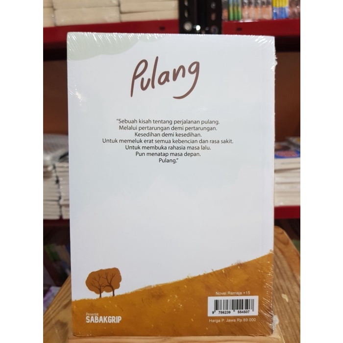 Novel PULANG - Tere Liye