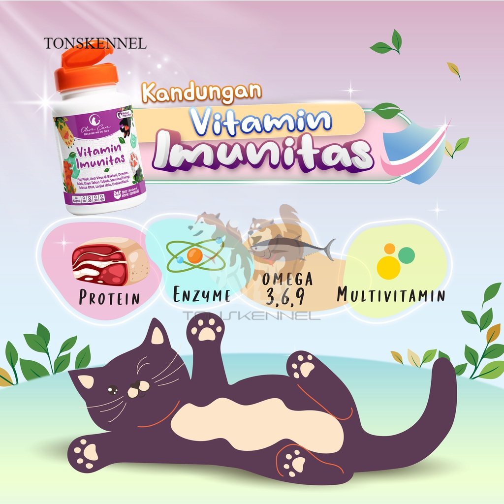 Olive Care Vitamin Kucing IMUNITAS untuk Daya Tahan Tubuh, Anti Sakit, Flu, Pilek, Mata Belekan, Demam, Lemes dan Lanjut Usia