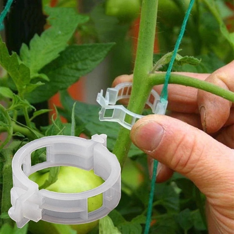 Tanaman Sayur Pengait Penyangga Tanaman Rambat Plastik Hold Klip Plastik Penyangga Tanaman Klip Perlengkapan Taman Perlindungan Reusable Grafting Memperbaiki Tanaman Sayur Tomat Alat