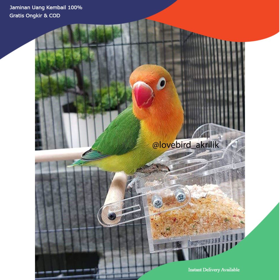 Tempat Pakan Burung, Wadah Pakan Burung, Tempat Pakan Burung Lovebird, Wadah Pakan Burung Lovebird